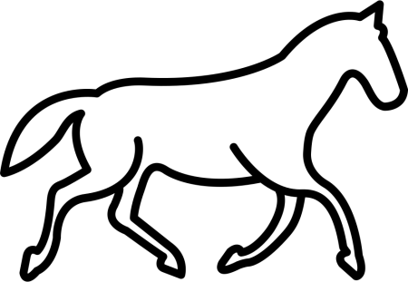 Контуры животных