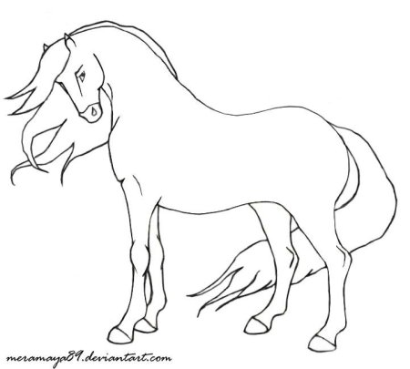 Лошадь контур