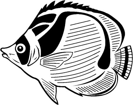 Рыба раскраска