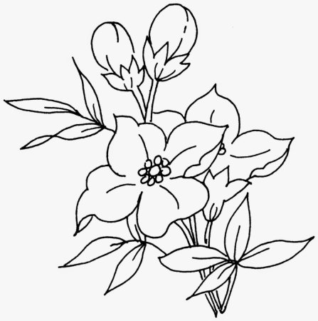 Контуры цветов для вышивки