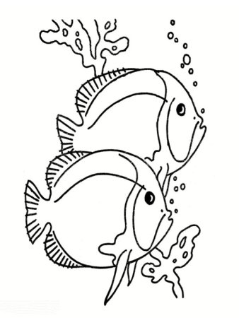 Раскраска рыбка