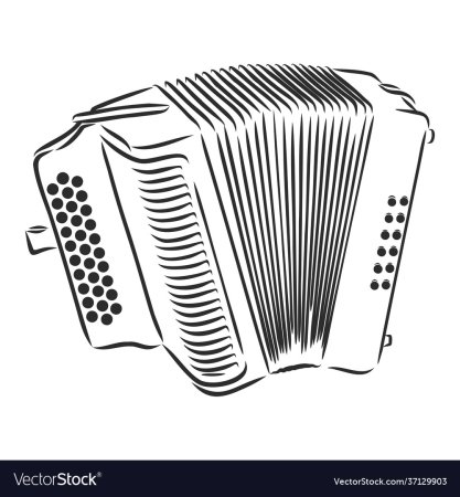 Аккордеон эскиз