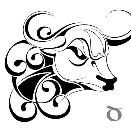 Графическое изображение быка