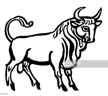 Трафарет тельца