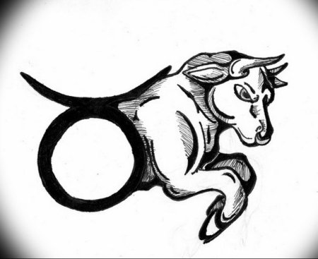 Телец знак зодиака эскиз