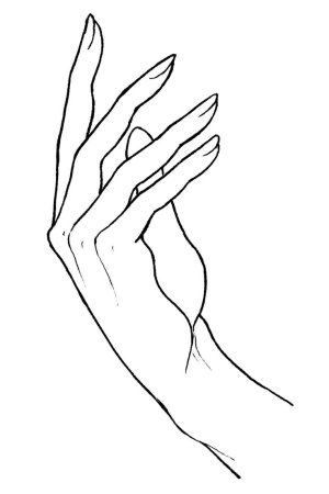 Контурное изображение Руе