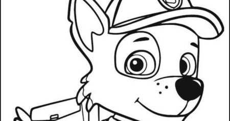 Гонщик Щенячий патруль раскраска