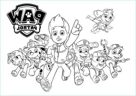 Раскраски Щенячий патруль мегащенки Райдер