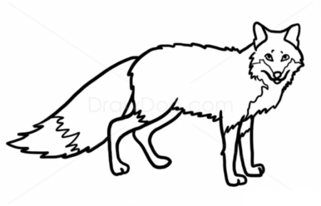 Лиса контур