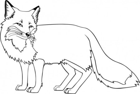 Раскраска лиса