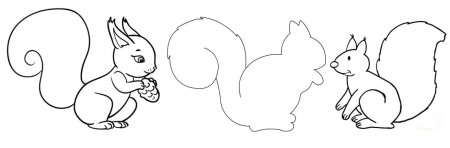 Контур белки