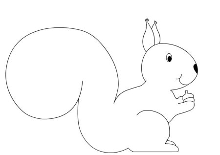 Раскраска белки