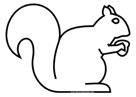 Контур белки