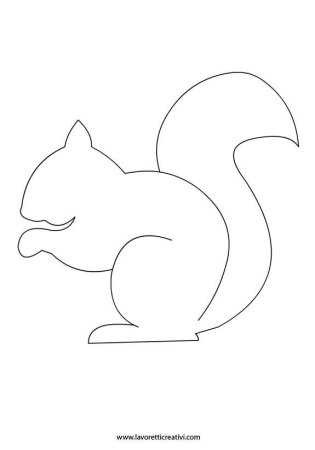 Белка раскраска для малышей