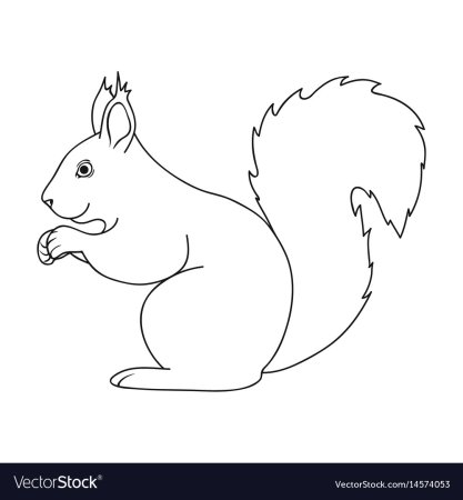 Белка раскраска для малышей