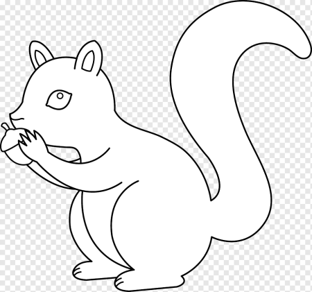 Белка рисунок