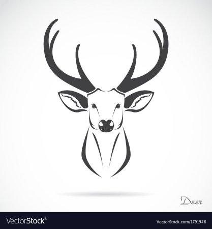 Олень рисунок легкий голова