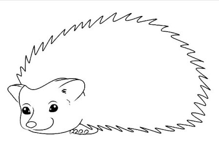 Ежик в векторной графики