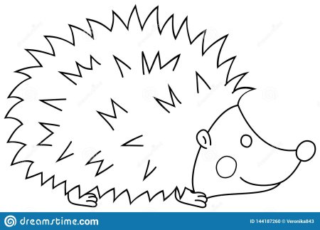 Ежик черно белый