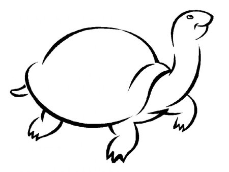 Раскраска черепаха