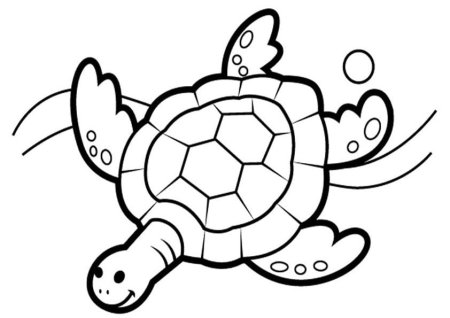 Черепаха контур для детей