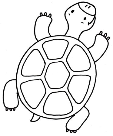 Черепаха раскраска для малышей