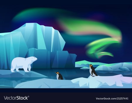 Пингвины на фоне Северного сияния