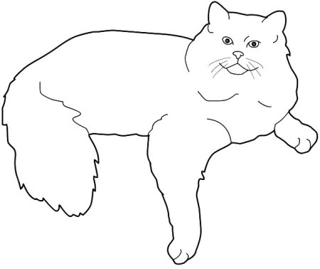 Шаблон кошки для рисования
