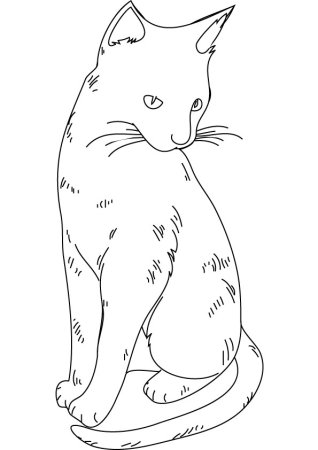 Контур котиков