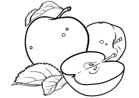 Фрукты. Раскраска