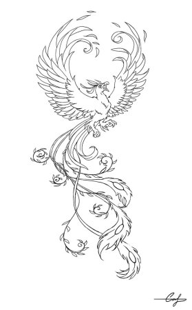 Жар птица раскраска