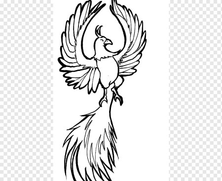 Жар птица тату черно белое