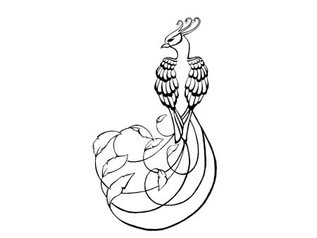 Павлин. Раскраска