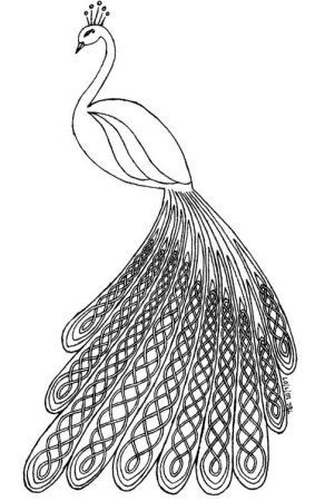 Павлин. Раскраска
