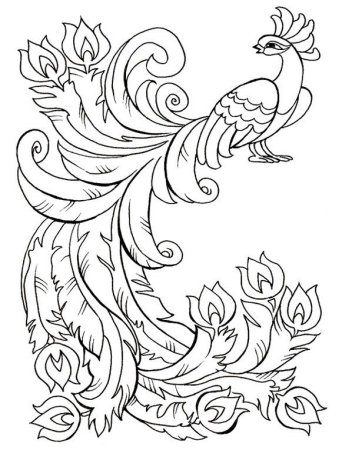 Разукрашка Жар птица