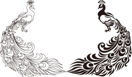 Жар птица раскраска