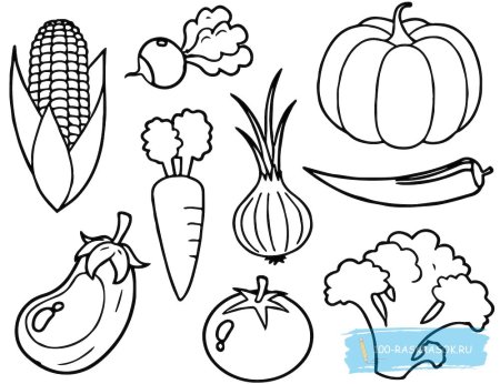 Овощи раскраска для детей