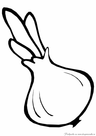 Фрукты раскраска для детей