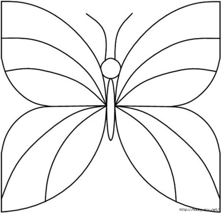 Витраж бабочка трафарет