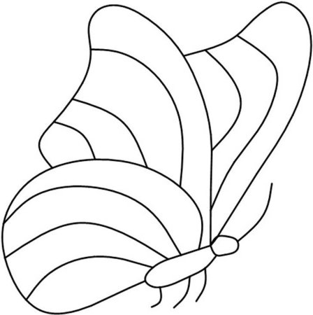 Бабочка раскраска для малышей
