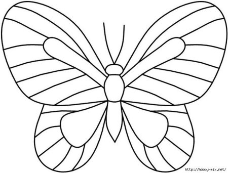 Контур бабочки для витража