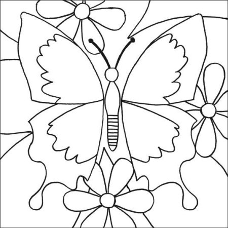 Радужная бабочка раскраска