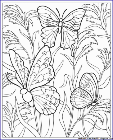 Шаблон бабочки для пластилинографии