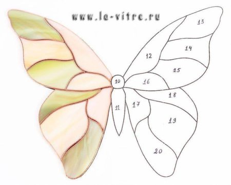 Цветы и бабочки. Раскраска