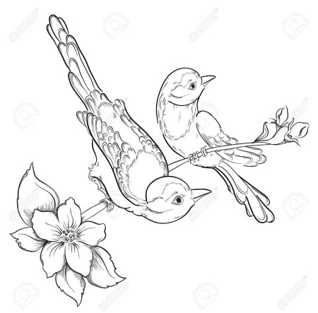 Раскраска Сакура с птицей