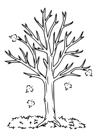 Контурный рисунок дерева без листьев (44 фото)