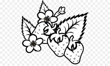 Земляника вектор контур