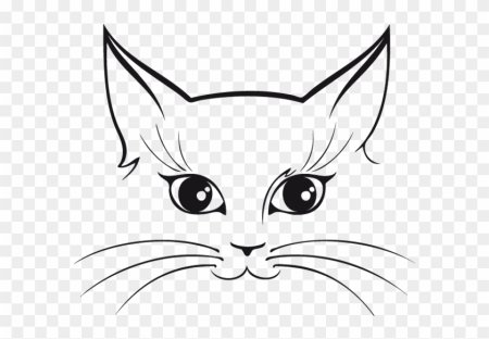 Мордочка кошки контурный рисунок (47 фото)