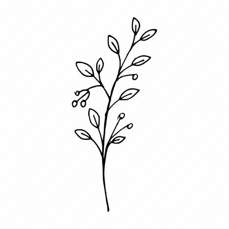 Веточка контур