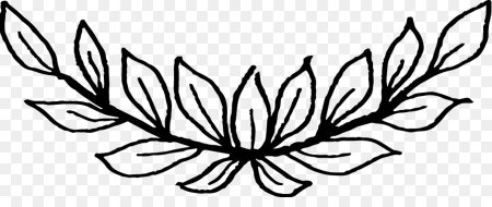 Ветка с листьями черно белая